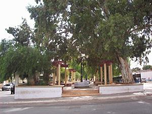 ORAN VOYAGE SEPTEMBRE 2010   (26)